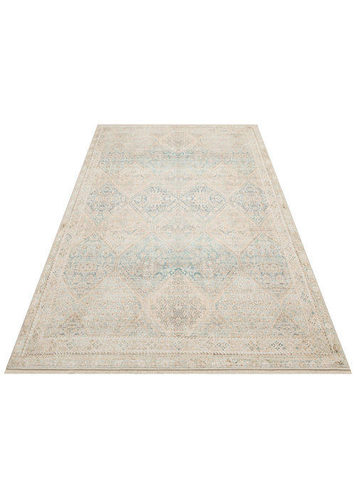 Load image 1 in gallery view. Beige and light blue area rug with a distressed traditional medallion pattern on a white background.