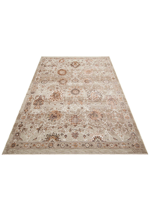 Load image 1 in gallery view. Beige and taupe traditional rug with a distressed floral medallion pattern and a decorative border on a white background.