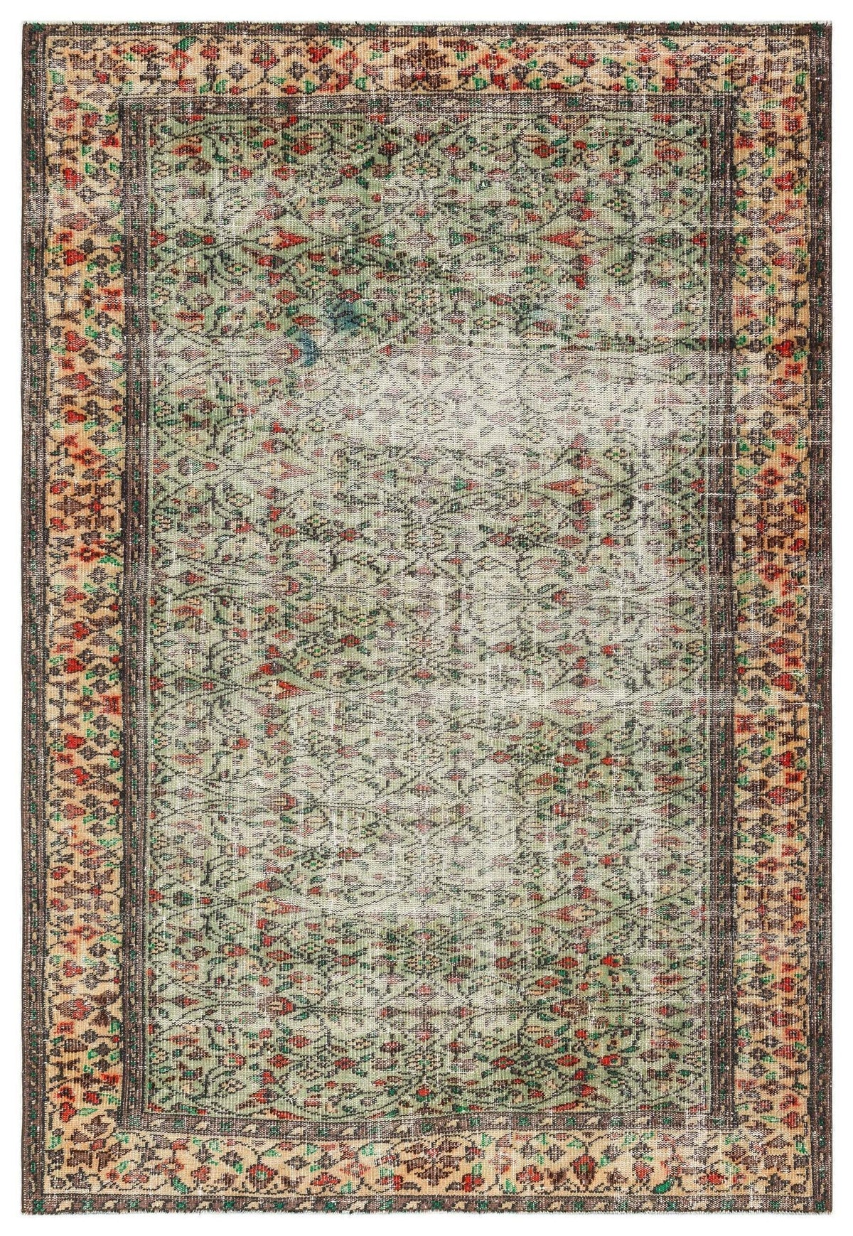 Distressed sage green rug with a faded floral vine pattern and a dark brown geometric border on a white background.