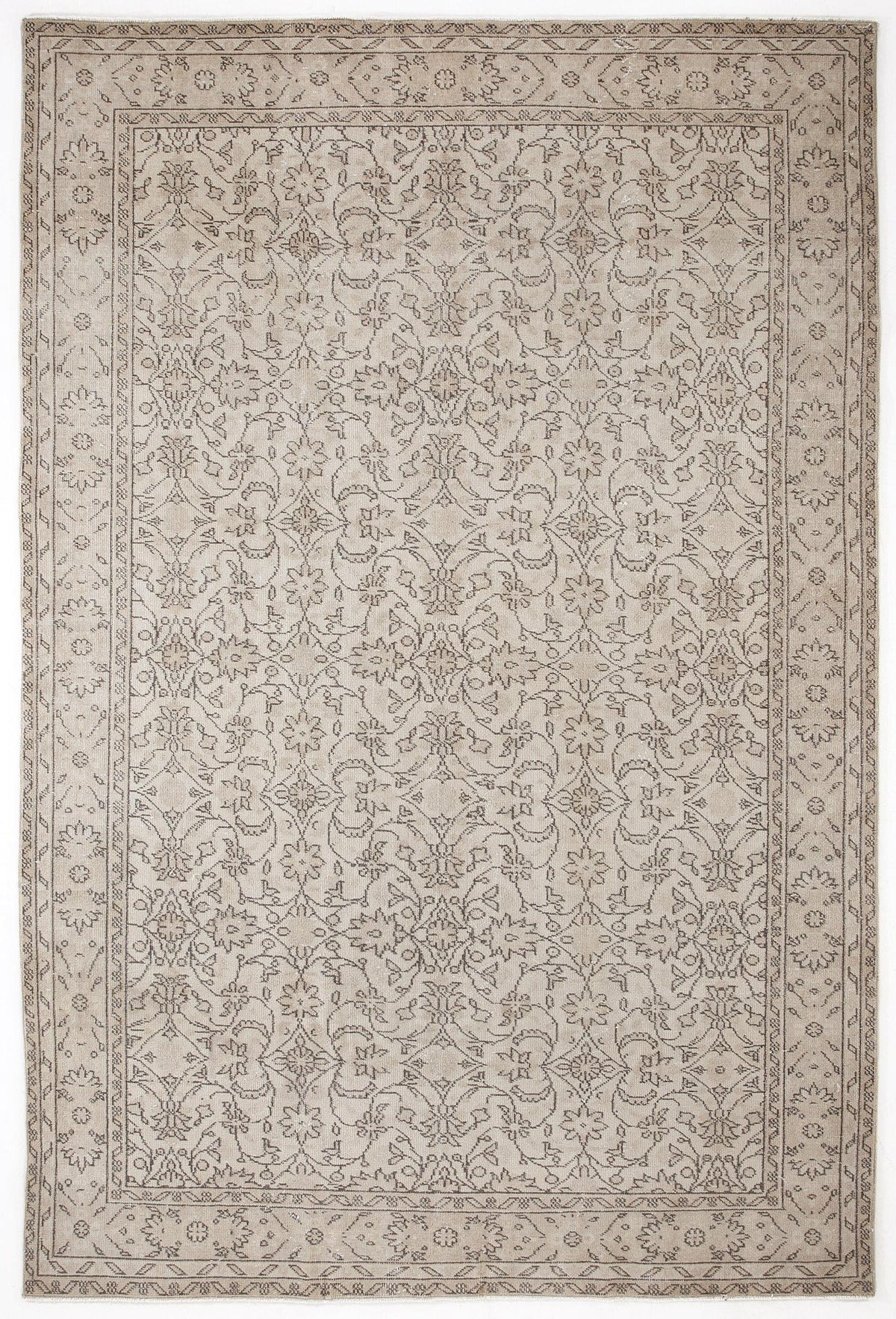 Beige and taupe area rug with a traditional floral medallion pattern and a decorative border.