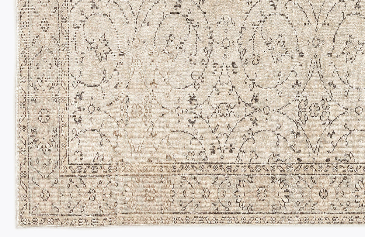Beige and taupe rug with a distressed traditional floral medallion pattern and a detailed border.