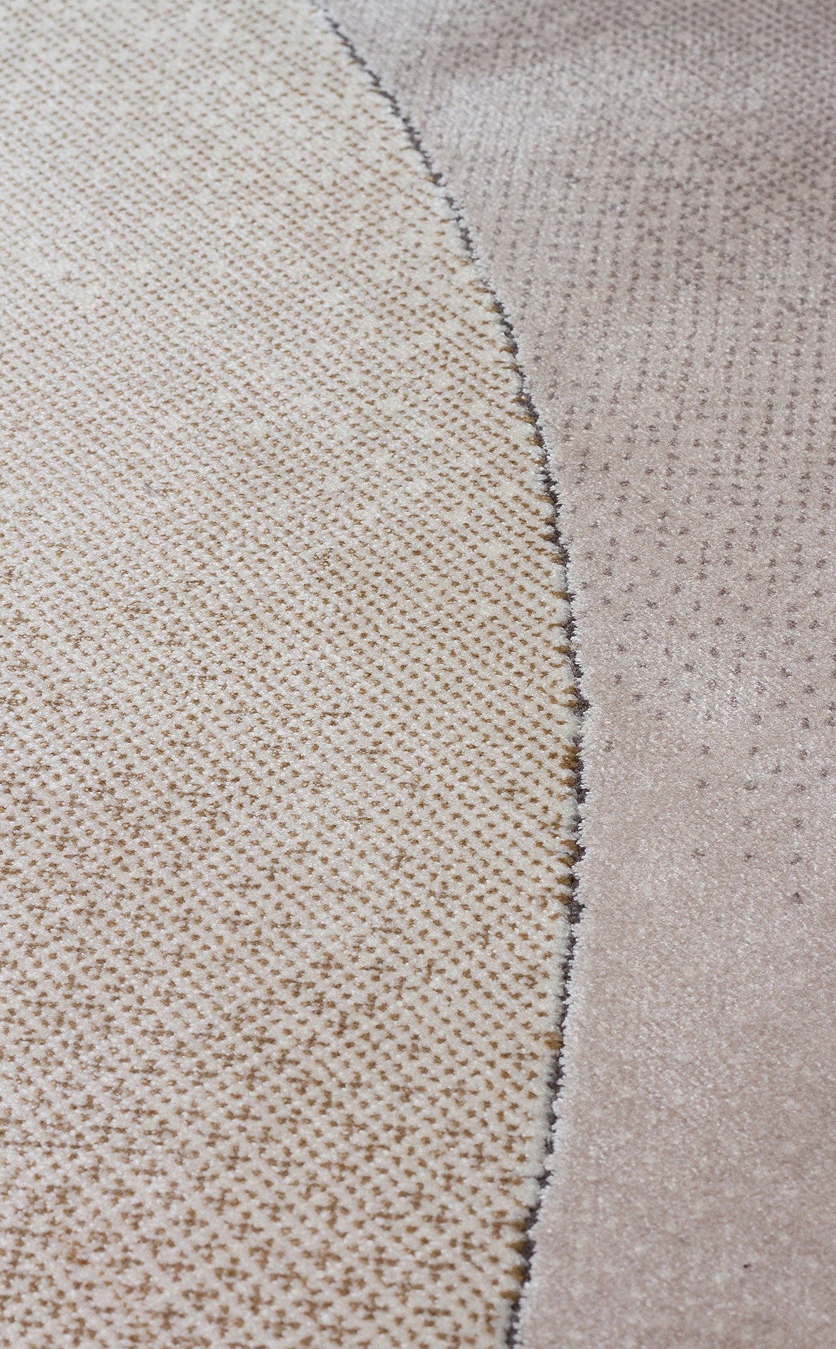 Beige and taupe rug with a curved, textured dotted pattern and a high-pile border.