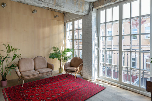Load image 1 in gallery view. A bright, modern room with large windows features a Berry Pattern - Kilim - BHR04 rug, a small tan sofa, an armchair, and two potted plants; sunlight fills the space, accentuating the minimalist decor
