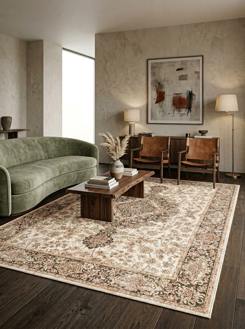 Load image 1 in gallery view. Cream and brown traditional rug with a distressed floral medallion pattern, styled in a modern living room.