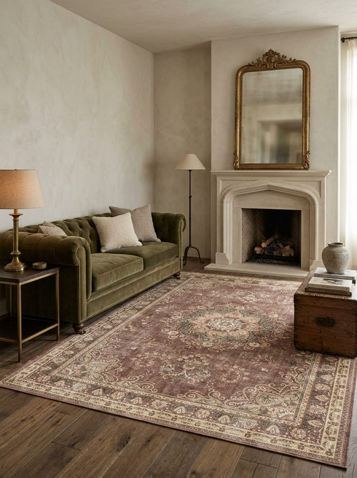 Load image 1 in gallery view. Distressed brown and cream traditional medallion rug in a living room with a green velvet sofa and fireplace.
