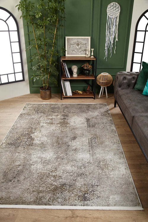 Bild 1 in Galerieansicht laden. A modern living room with a Noble Insignia - Washable Rug - JR1830 (Custom Size) in distressed beige, gray tufted sofa, green accent wall, bookshelf with decor, tall plant, and arched windows. Ideal for high-traffic areas.