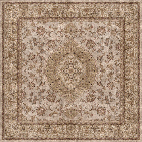 Load image 1 in gallery view. Beige and brown traditional rug with a central floral medallion and ornate border in a distressed, vintage style.