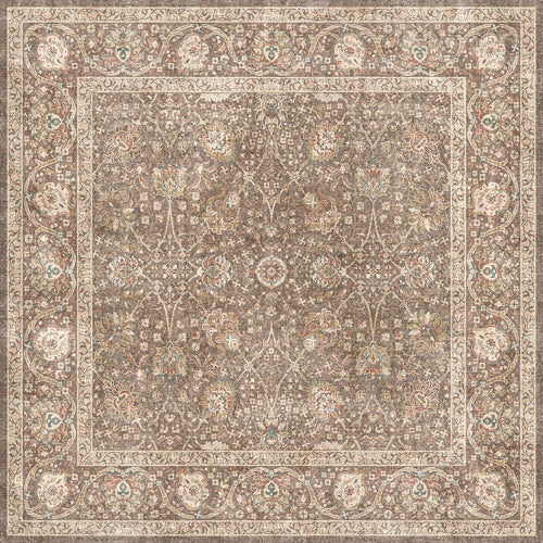 Load image 1 in gallery view. Brown traditional rug with a distressed floral medallion pattern and a decorative border in cream, rust, and teal.